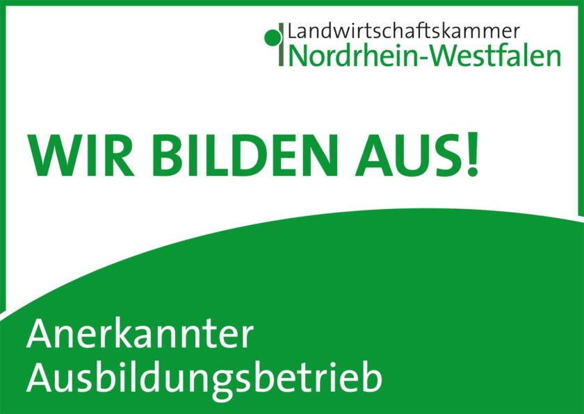 Projekte Green Team Die MeisterGärtner